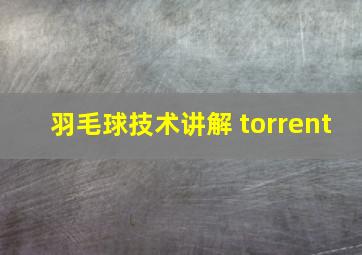 羽毛球技术讲解 torrent